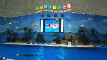 德州水族館vs祥龍魚場（德州水族館與祥龍魚場的區別）