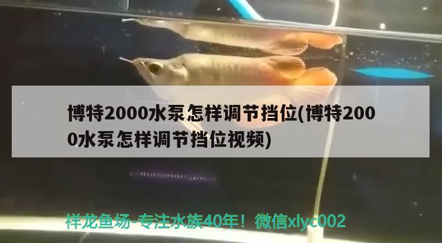 博特2000水泵怎樣調節(jié)擋位(博特2000水泵怎樣調節(jié)擋位視頻)