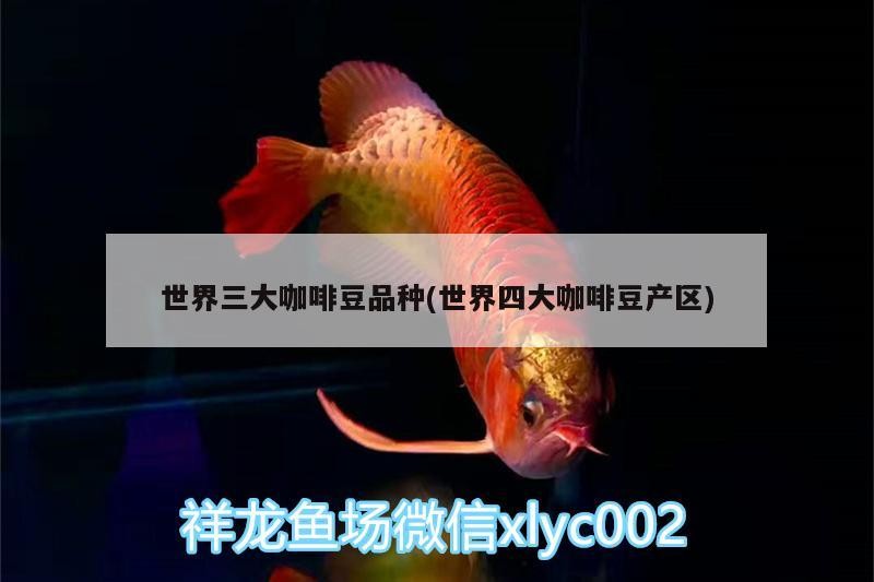 世界三大咖啡豆品種(世界四大咖啡豆產區)