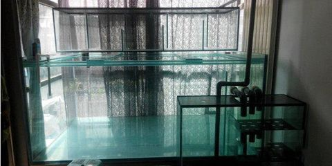 魟魚多大的缸可以繁殖：魟魚繁殖缸尺寸主要取決于寬度和高度，需要考慮長度和高度