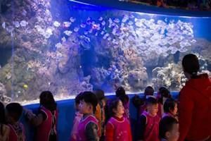 信陽水族館vs祥龍魚場（信陽水族館與祥龍魚場之間的差異之前，我們需要明確兩者的主要業(yè)務和服務對象）