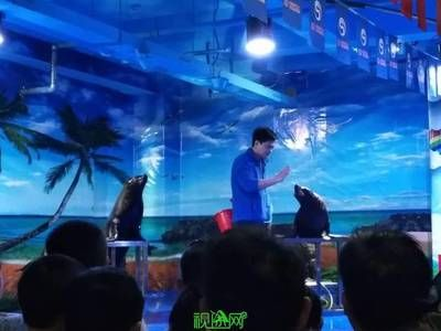 信陽水族館vs祥龍魚場（信陽水族館與祥龍魚場之間的差異之前，我們需要明確兩者的主要業務和服務對象）