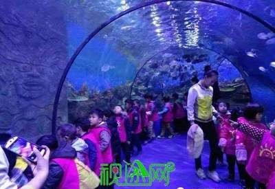 信陽水族館vs祥龍魚場（信陽水族館與祥龍魚場之間的差異之前，我們需要明確兩者的主要業務和服務對象）