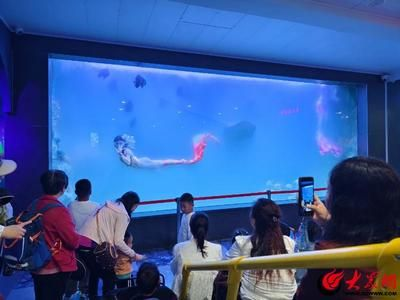 東營水族館vs祥龍魚場（東營水族館與祥龍魚場之間的差異之前需要明確兩者的主要業務和特點）