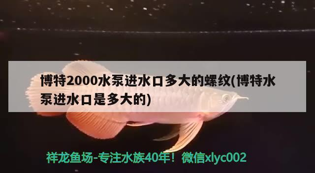 博特2000水泵進水口多大的螺紋(博特水泵進水口是多大的)