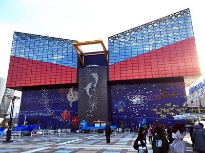 大同水族館vs祥龍魚場（大同水族館與祥龍魚場在業務范圍、專業領域和市場定位差異）