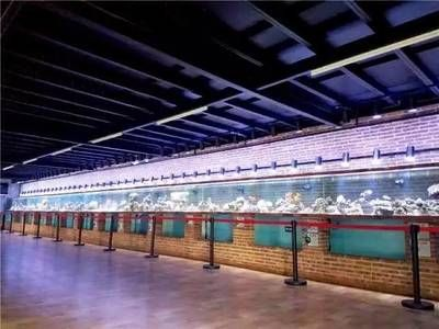 中山水族館vs祥龍魚場（中山水族館和祥龍魚場可能更專注于龍魚的養殖和銷售）