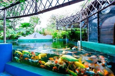 中山水族館vs祥龍魚場（中山水族館和祥龍魚場可能更專注于龍魚的養殖和銷售）