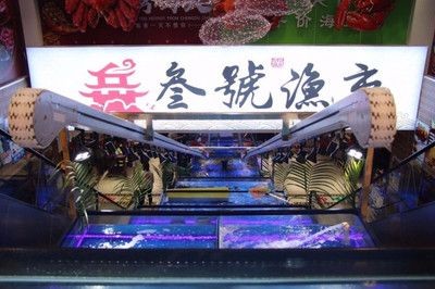 中山水族館vs祥龍魚場（中山水族館和祥龍魚場可能更專注于龍魚的養殖和銷售）