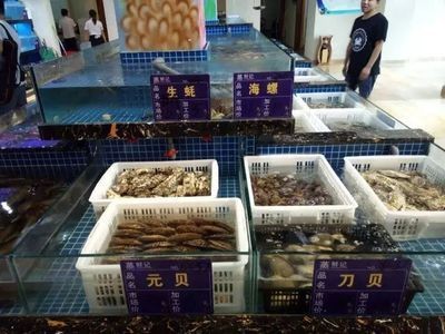 撫州水族館vs祥龍魚場（撫州水族館與祥龍魚場各有特色）
