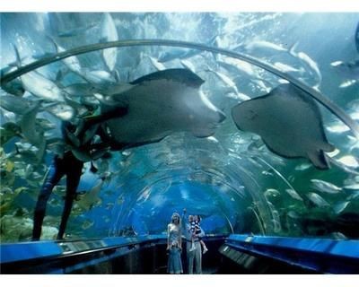 平涼水族館vs祥龍魚場（平涼水族館與祥龍魚場各有其特色和優勢）