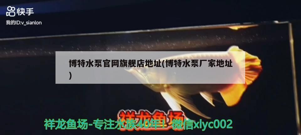 博特水泵官網旗艦店地址(博特水泵廠家地址)