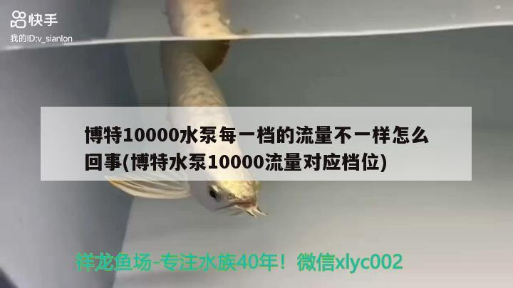 博特10000水泵每一檔的流量不一樣怎么回事(博特水泵10000流量對應檔位)
