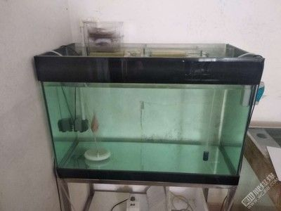 1.5米長40寬80高魚缸裝多少水：魚缸尺寸為1.5米長、40厘米寬和80厘米高,我們需要計算魚缸的容積