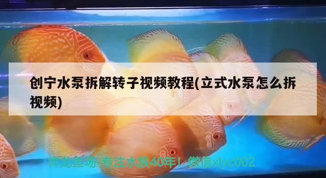 創寧水泵拆解轉子視頻教程(立式水泵怎么拆視頻)