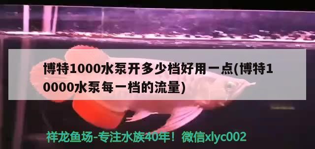 博特1000水泵開多少檔好用一點(博特10000水泵每一檔的流量)