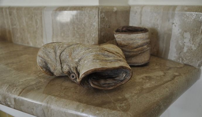 龍魚青霉素治什么病效果好呢vs祥龍魚場：祥龍魚場的信譽評價如何