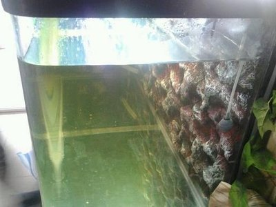 創寧水泵官方網站電話是多少號（創寧水泵官方網站電話是多少號碼）