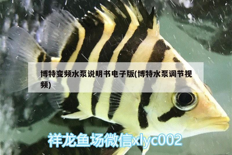 博特變頻水泵說明書電子版(博特水泵調節視頻)