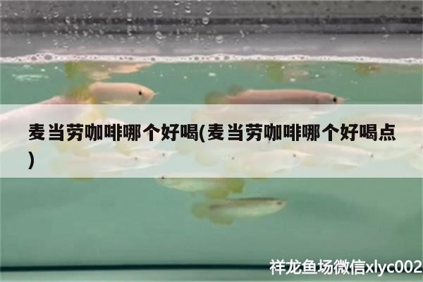 麥當勞咖啡哪個好喝(麥當勞咖啡哪個好喝點)