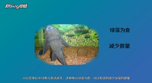 創(chuàng)寧水泵售后官網(wǎng)電話查詢（創(chuàng)寧水泵售后官網(wǎng)電話查詢地址）