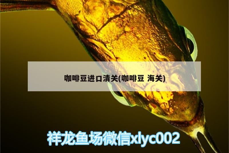 咖啡豆進口清關(guān)(咖啡豆海關(guān))