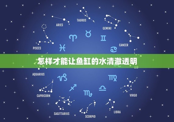 萍鄉哪里有魚缸賣的實體店鋪呢