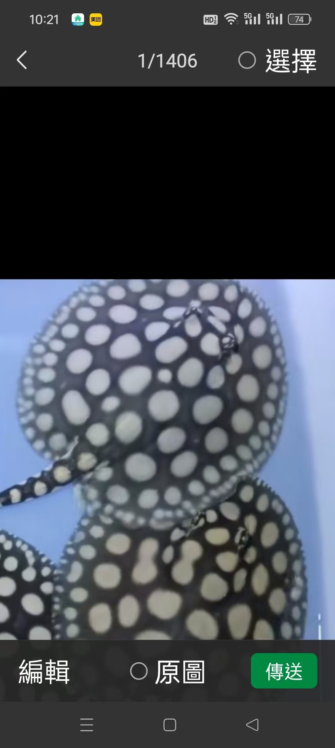 三條小魚