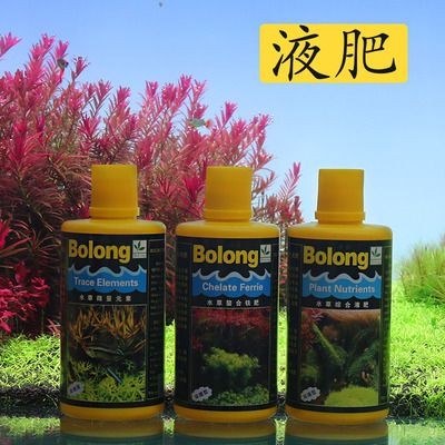 bolongshiyegs魚缸價錢：bolongshiyegs官網寵物魚缸價格