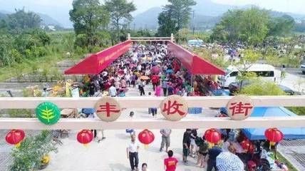 肇慶龍魚vs祥龍魚場(chǎng)（探討肇慶龍魚與祥龍魚場(chǎng)的區(qū)別之前需要明確兩者所代表內(nèi)容）
