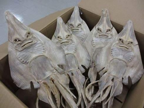 魟魚干