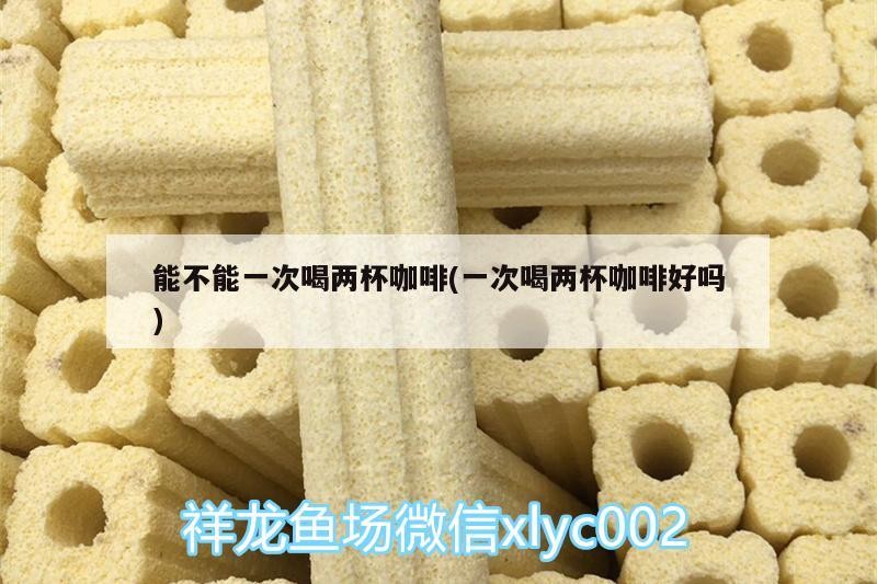能不能一次喝兩杯咖啡(一次喝兩杯咖啡好嗎)