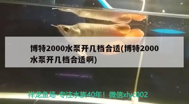 博特2000水泵開幾檔合適(博特2000水泵開幾檔合適啊)