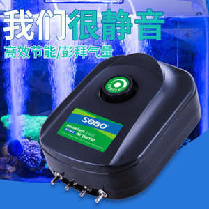 創寧水泵不上水的原因有哪些視頻（創寧水泵不上水的原因有哪些視頻教程）