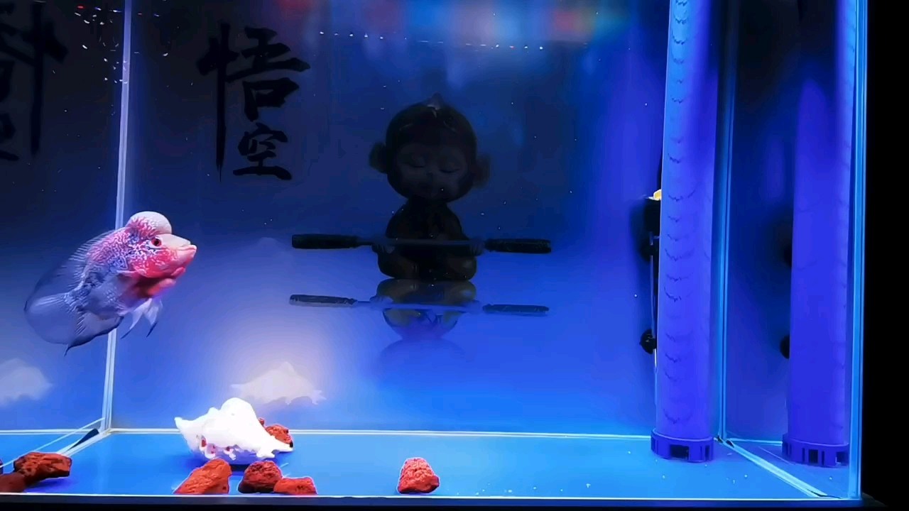 新生入學