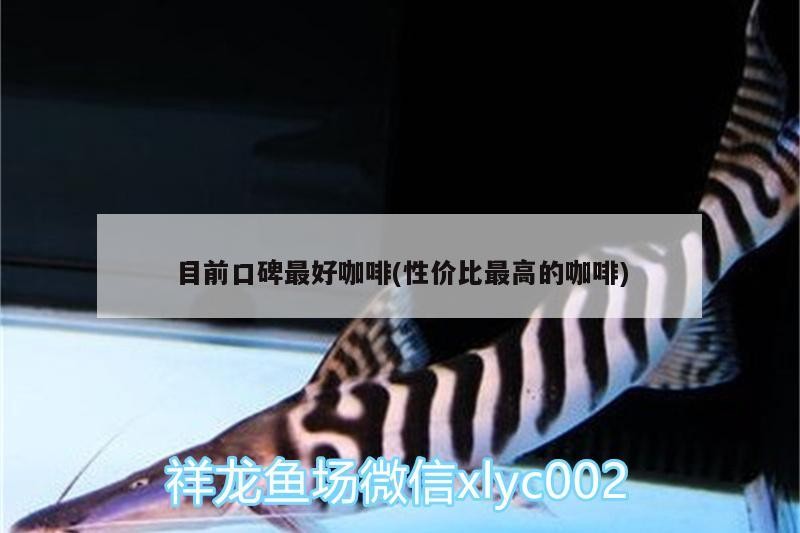 目前口碑最好咖啡(性價比最高的咖啡)