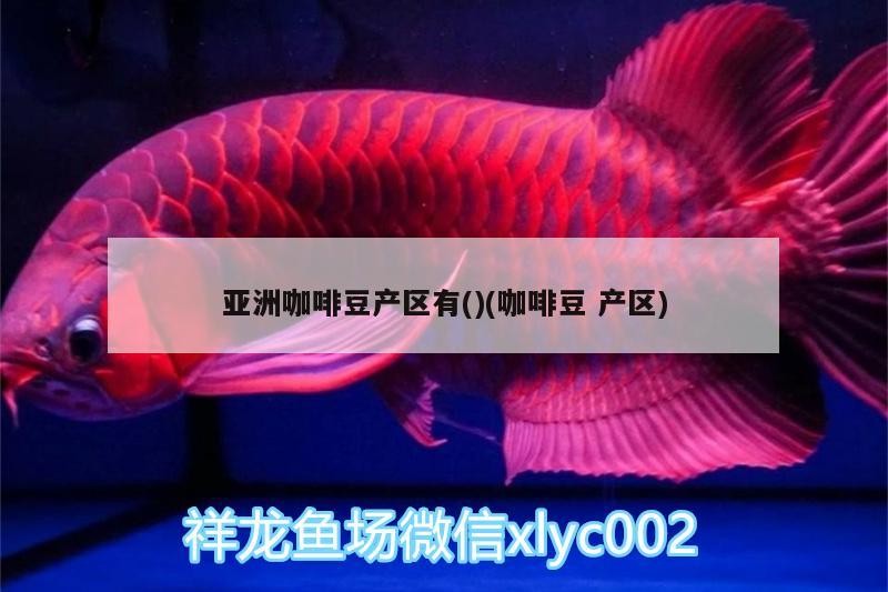 亞洲咖啡豆產區有()(咖啡豆產區)