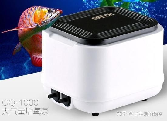 1米的魚缸用多大的增氧泵：sobo品牌增氧泵選擇合適的增氧泵大小主要取決于魚缸的密度