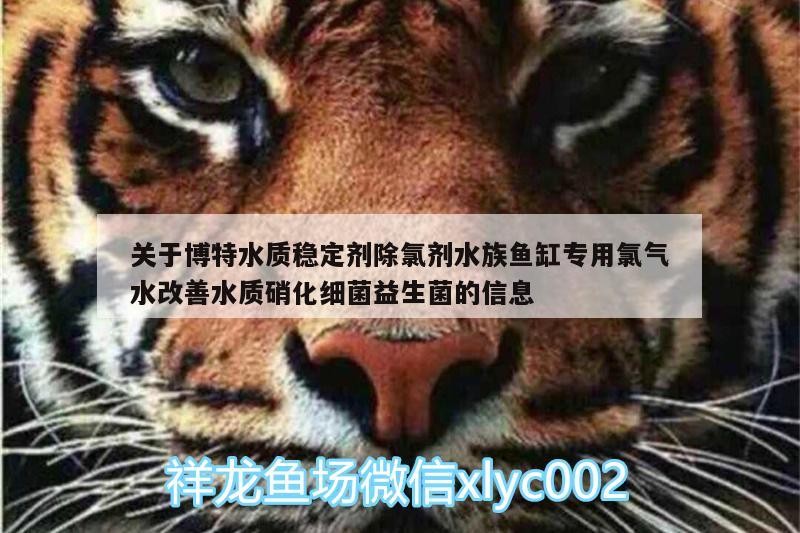 關于博特水質穩定劑除氯劑水族魚缸專用氯氣水改善水質硝化細菌益生菌的信息