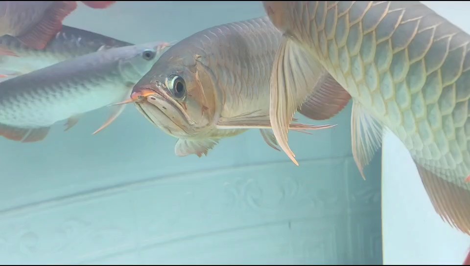看著滿背是不是沒問題