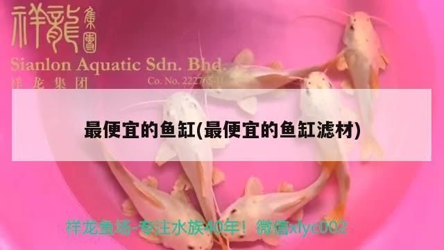 養紅龍魚缸用什么底色和背景顏色好：養紅龍魚時，缸底和背景顏色的選擇對紅龍魚的健康生長和發色有利