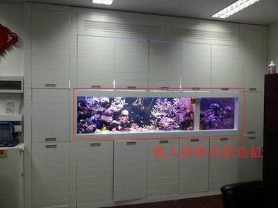 如何搬動(dòng)魚(yú)缸里的水