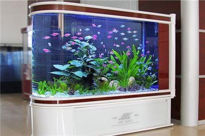 魚缸銅離子含量怎么控制的呀