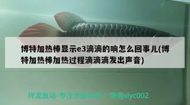 博特加熱棒顯示e3滴滴的響怎么回事兒(博特加熱棒加熱過程滴滴滴發出聲音)