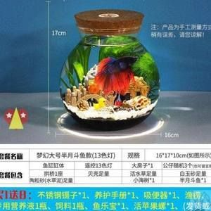 玻璃魚缸怎么養水藻