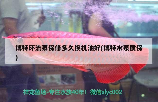 博特環流泵保修多久換機油好(博特水泵質保)