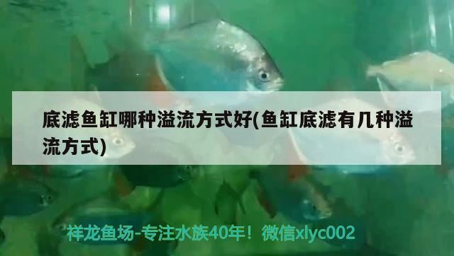 底濾魚缸哪種溢流方式好(魚缸底濾有幾種溢流方式)
