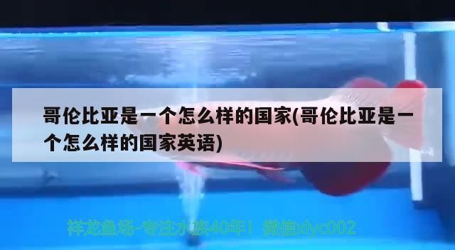 哥倫比亞是一個怎么樣的國家(哥倫比亞是一個怎么樣的國家英語)