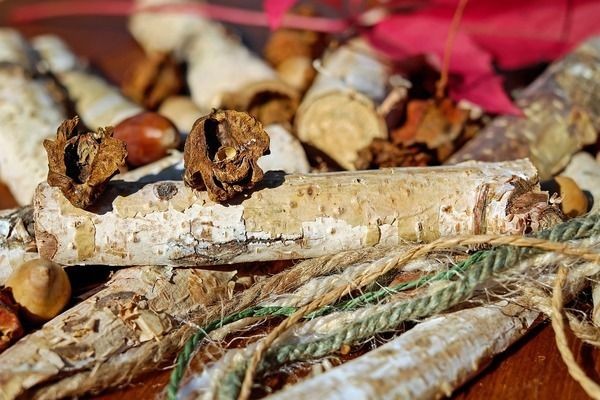 龍魚能不能用青霉素注射vs祥龍魚場：祥龍魚場評價如何龍魚專用藥物選擇