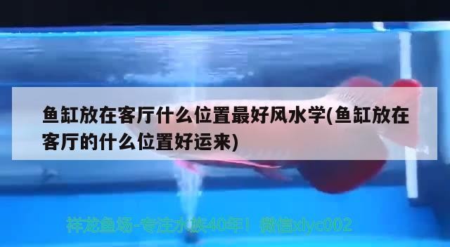 濟南歷城區慶華窗簾店